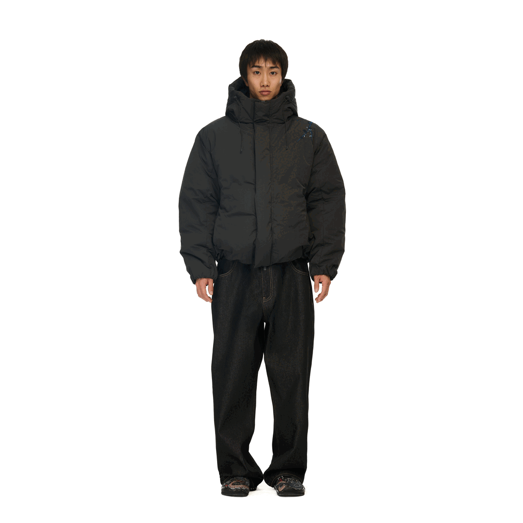 "yakuza v2" down Puffer jacket anthracite