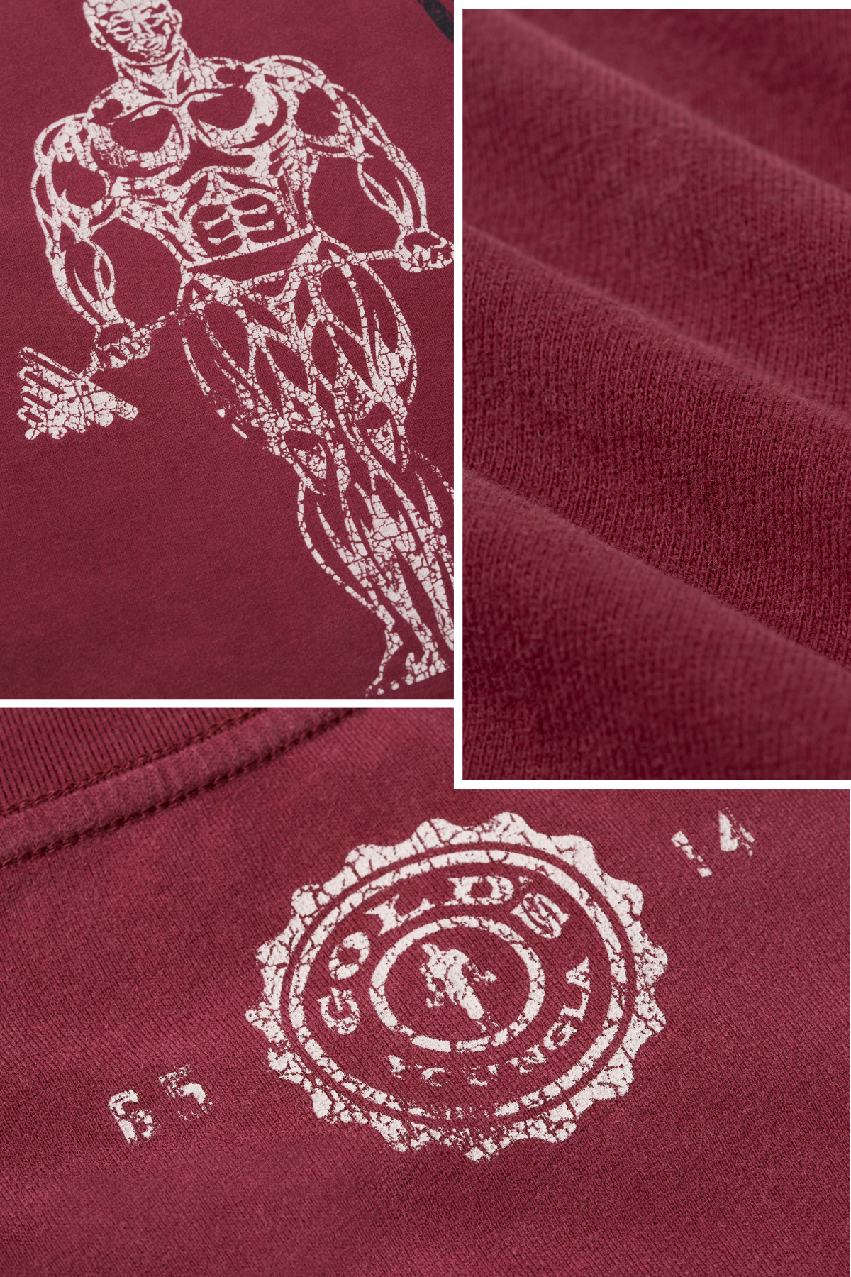 4213 - Gold's Iron Legacy Icon Tees