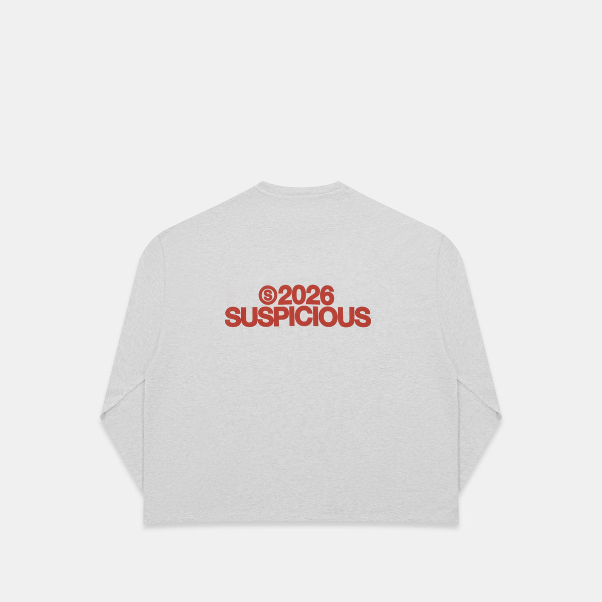 Spring 1 / S2026 Longsleeve - Ash