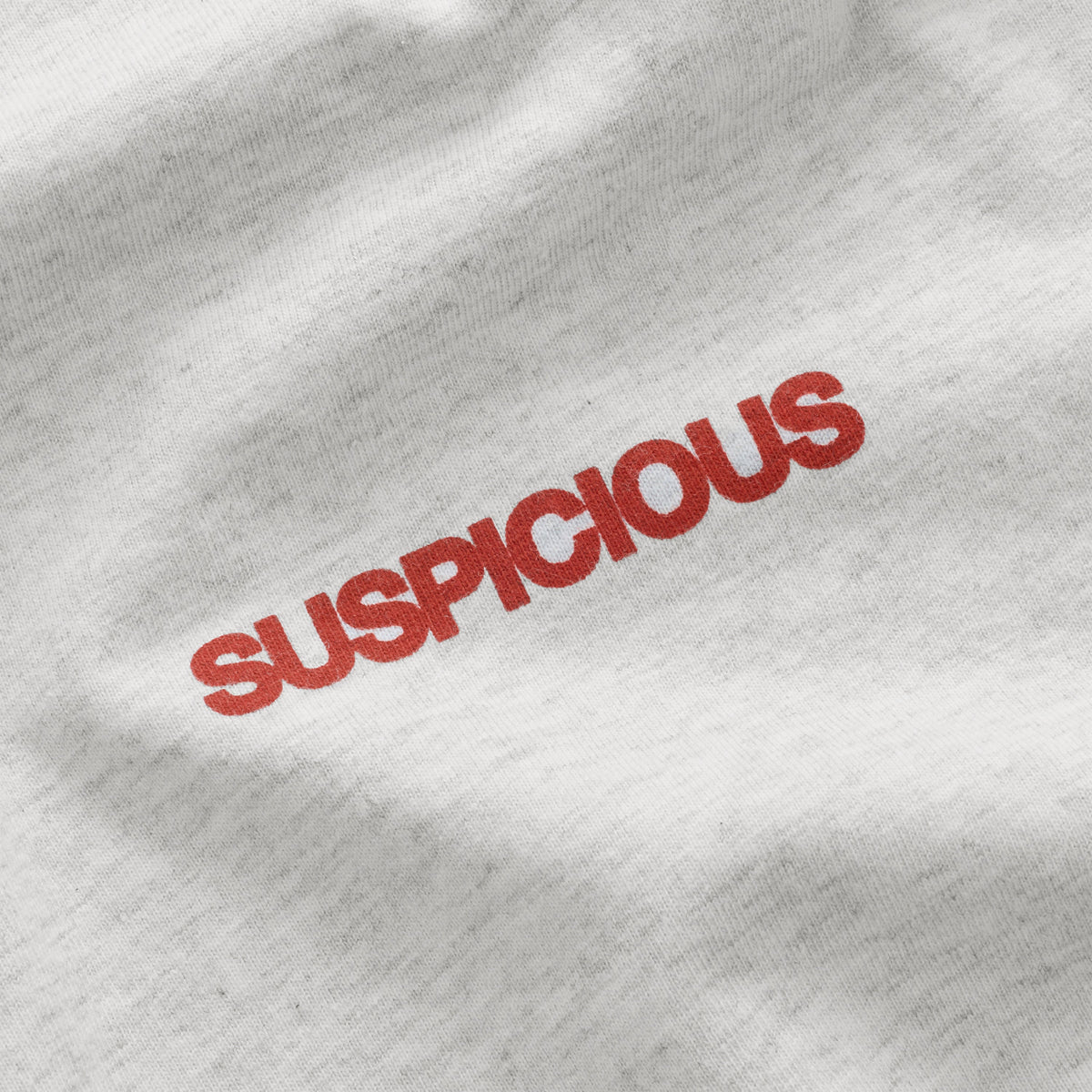 Spring 1 / S2026 Longsleeve - Ash