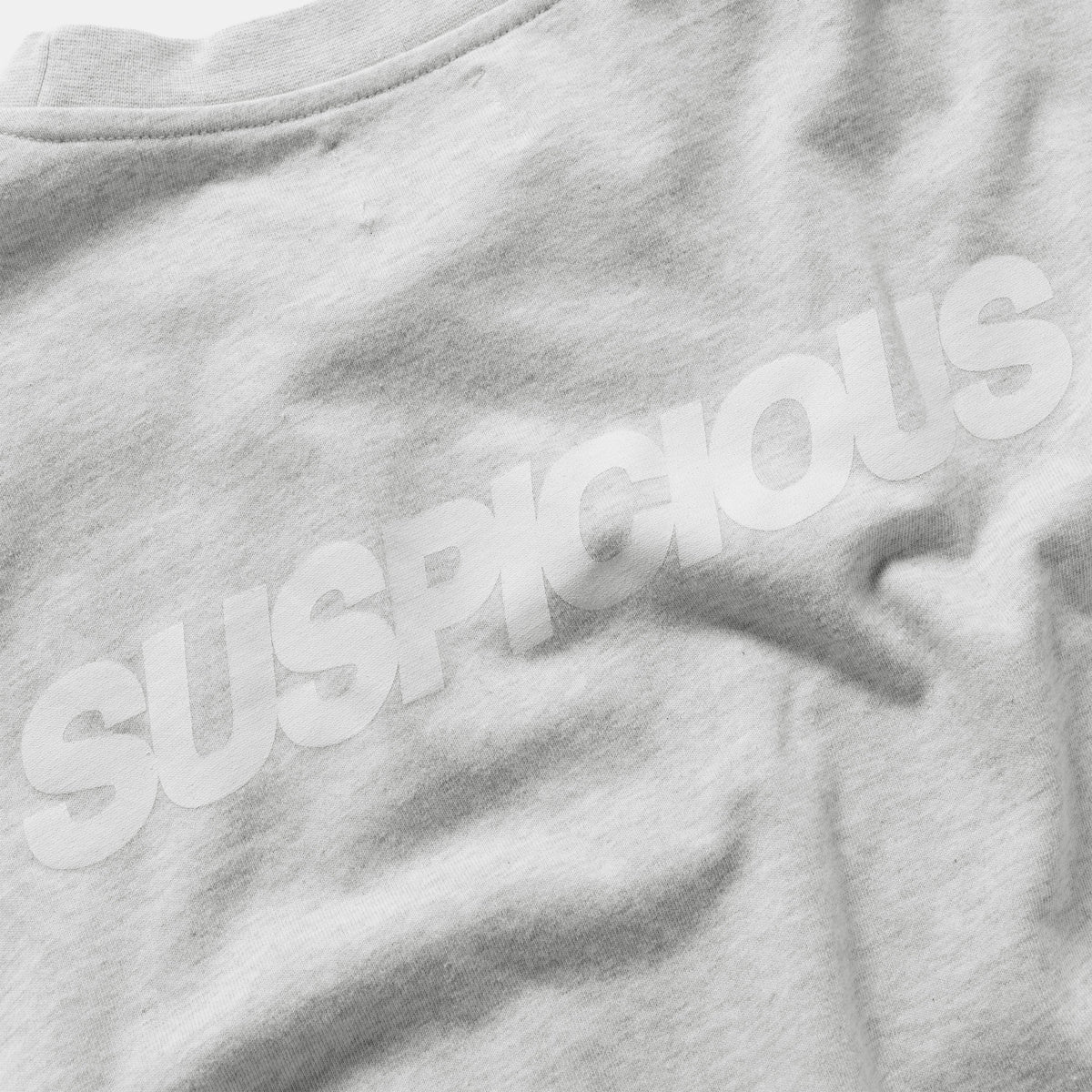 Fall 2 / Suspicious Longsleeve - Ash